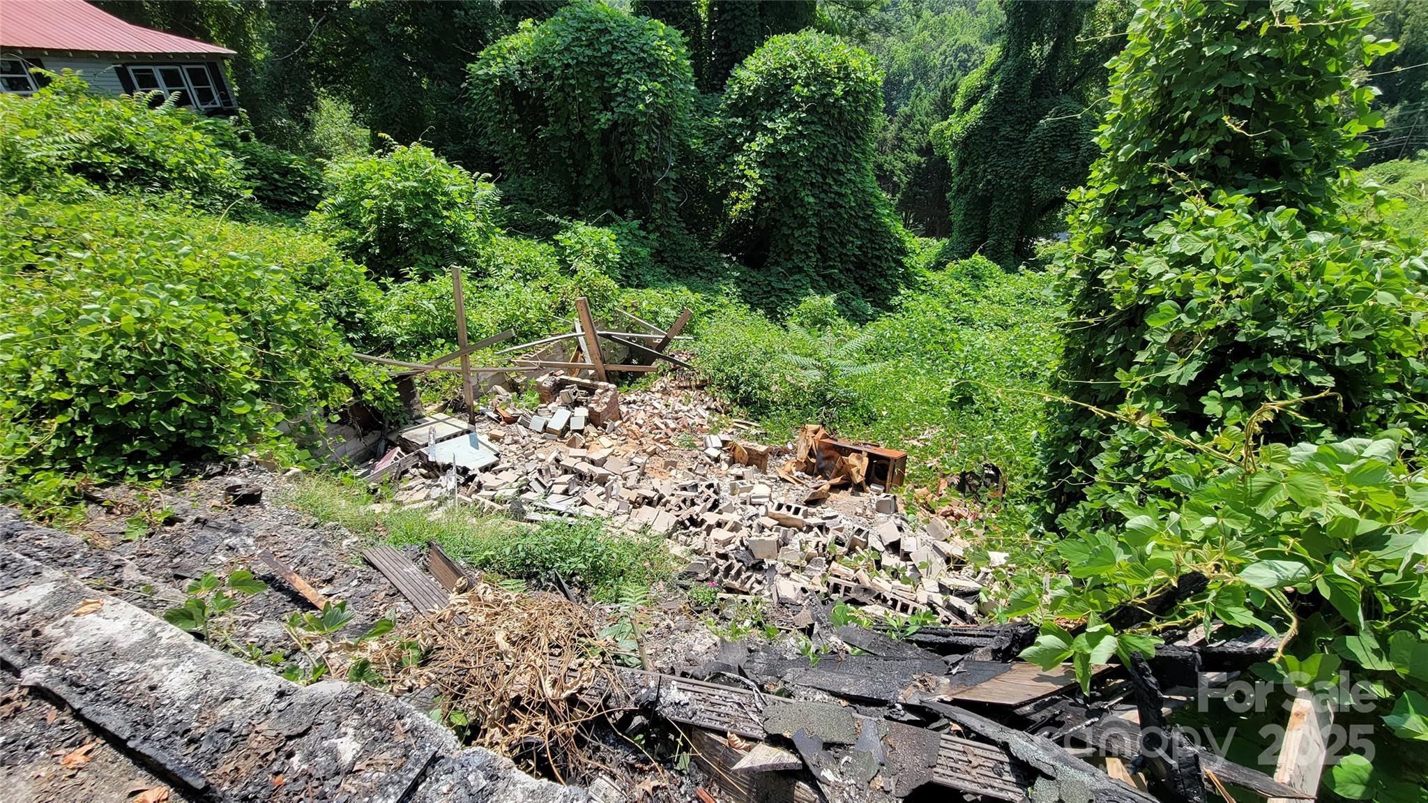 160 Cleveland Road Tryon, NC 28782 - Photo 29 of 42 a view of a garden with a tree