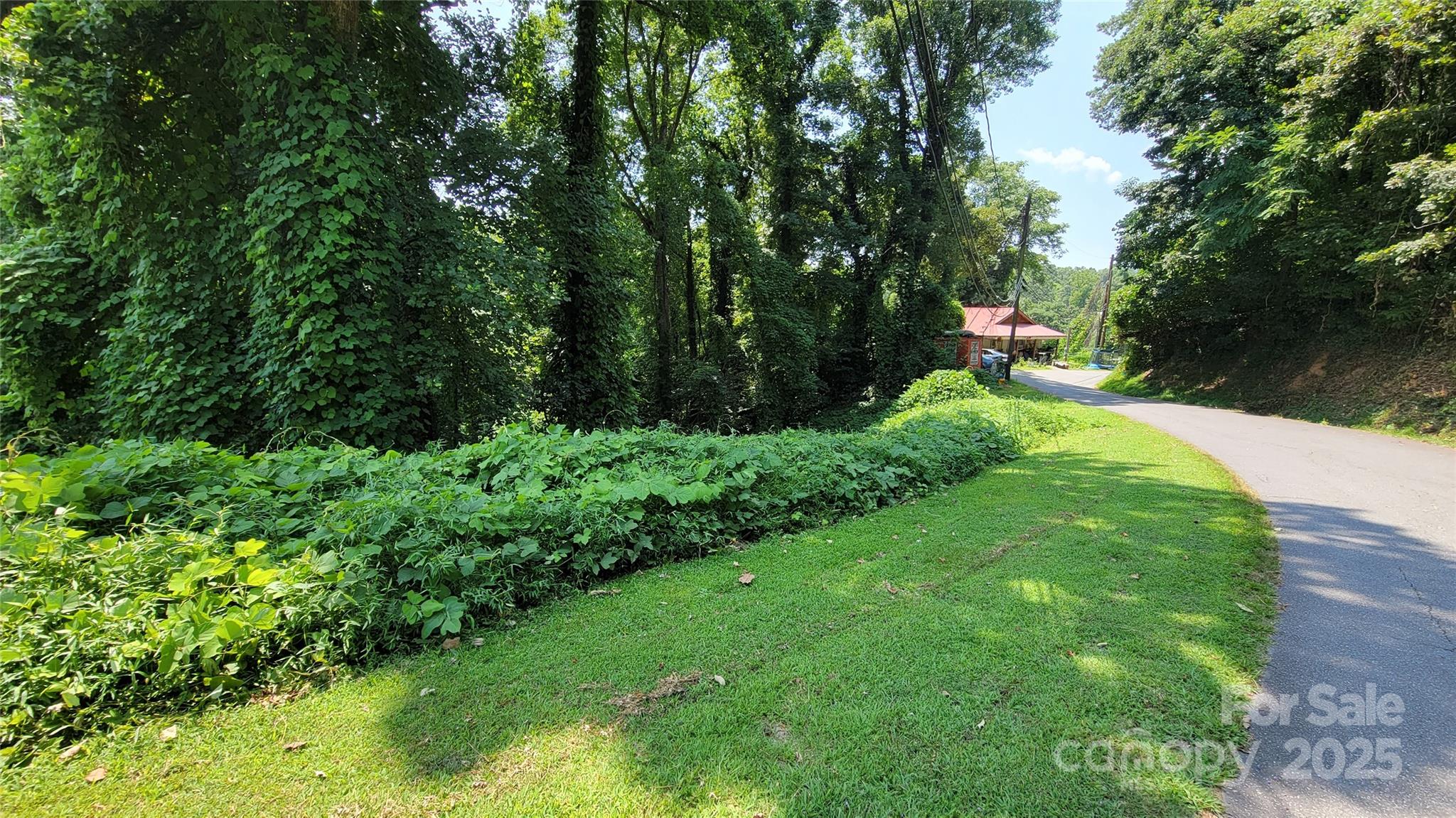 160 Cleveland Road Tryon, NC 28782 - Photo 33 of 42 a view of a garden with a tree