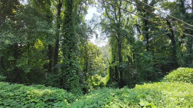 a view of a green field