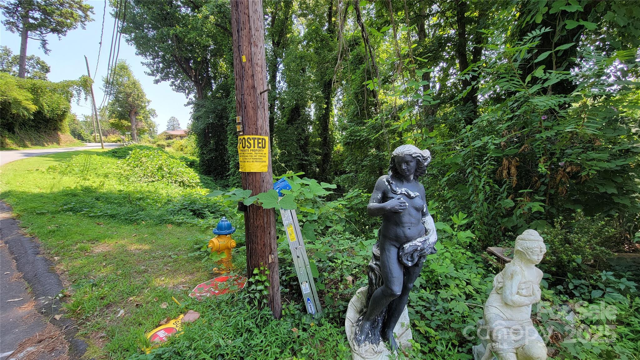 160 Cleveland Road Tryon, NC 28782 - Photo 40 of 42 an aerial view of a house with a yard and garden