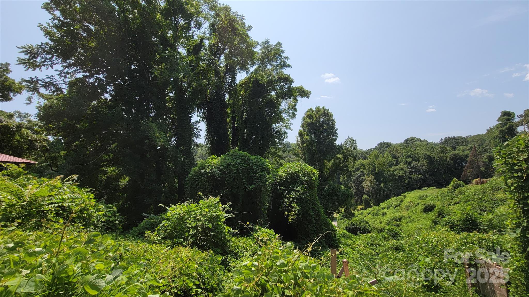 160 Cleveland Road Tryon, NC 28782 - Photo 41 of 42 a view of a garden