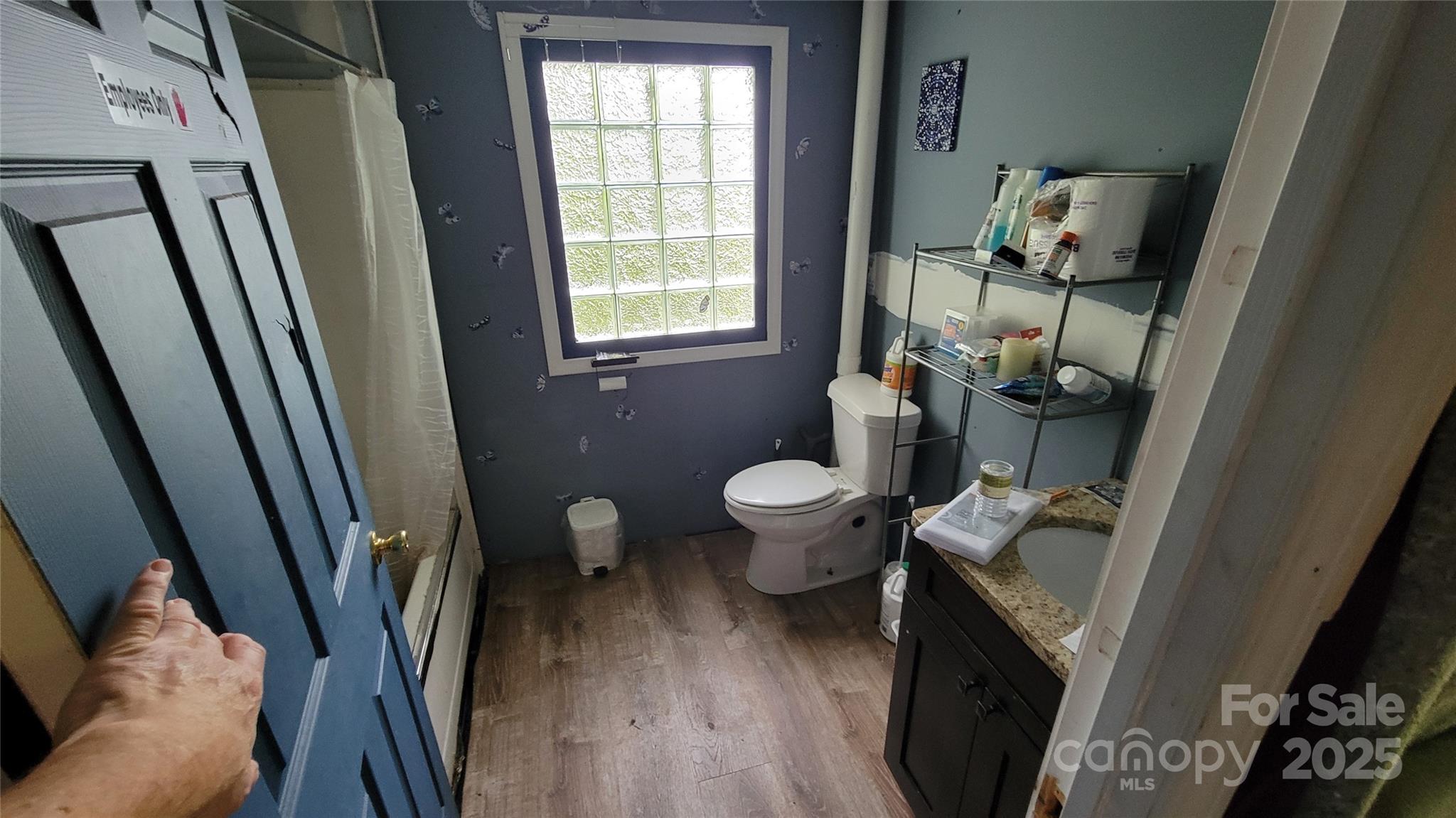 160 Cleveland Road Tryon, NC 28782 - Photo 6 of 42 a bathroom with a sink and toilet