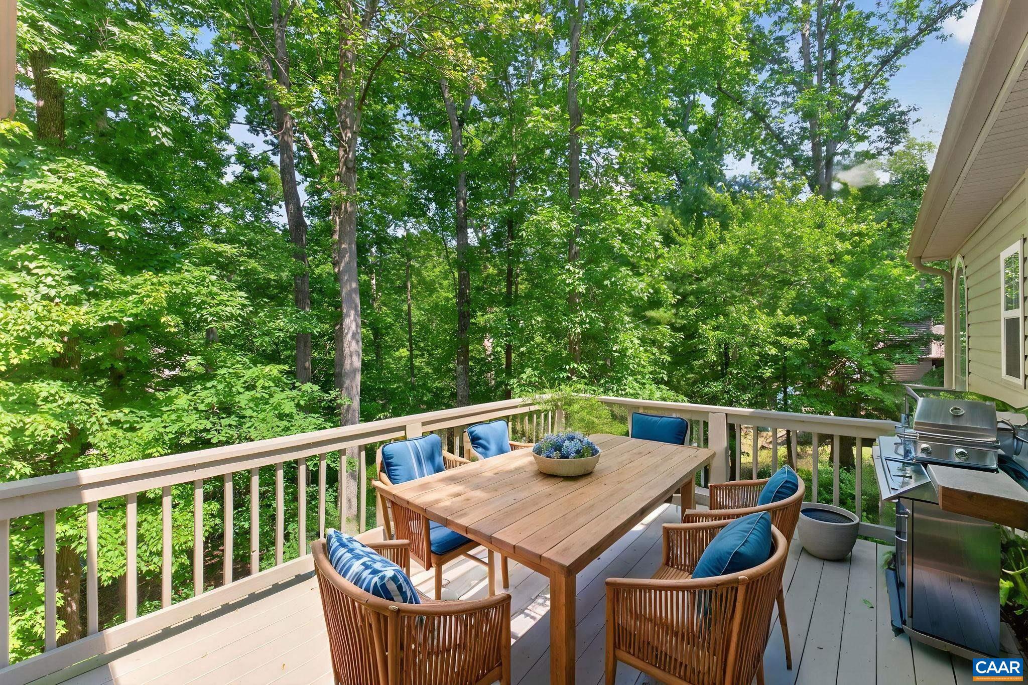 13 Condor Road Palmyra, VA 22963 - Photo 43 of 61