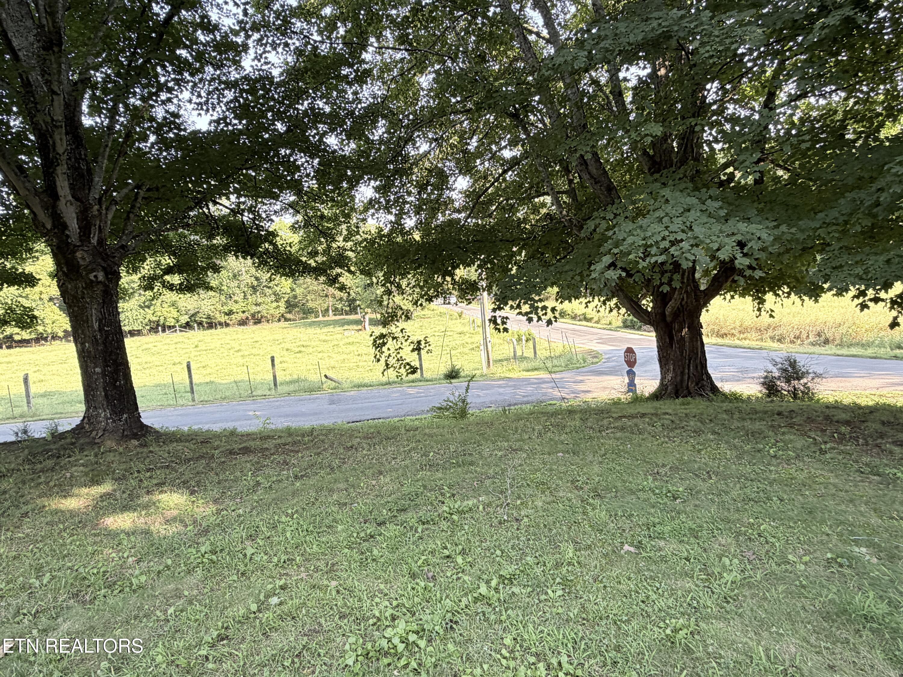 199 County Road 190 Decatur, TN 37322 - Photo 35 of 41 IMG_1356
