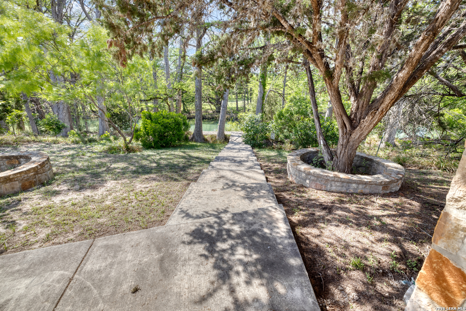 869 Ridge Loop Rio Frio, TX 78879 - Photo 11 of 40 a view of a yard with plants and trees