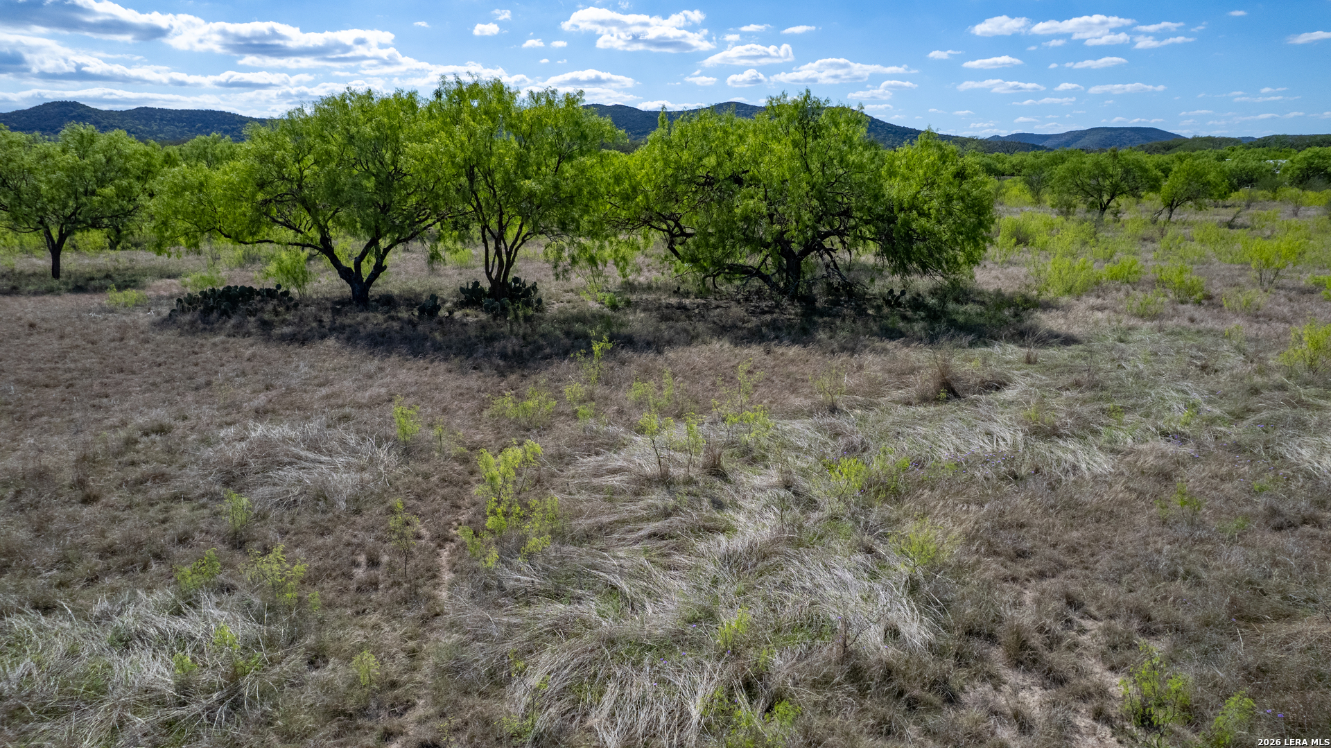 869 Ridge Loop Rio Frio, TX 78879 - Photo 22 of 40 a view of a lush green space