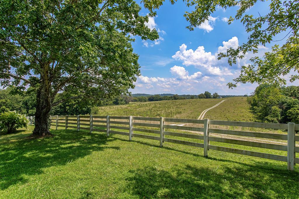 534 Greensburg Road Edmonton, KY 42129 - Photo 20 of 28 Gallery Image 20