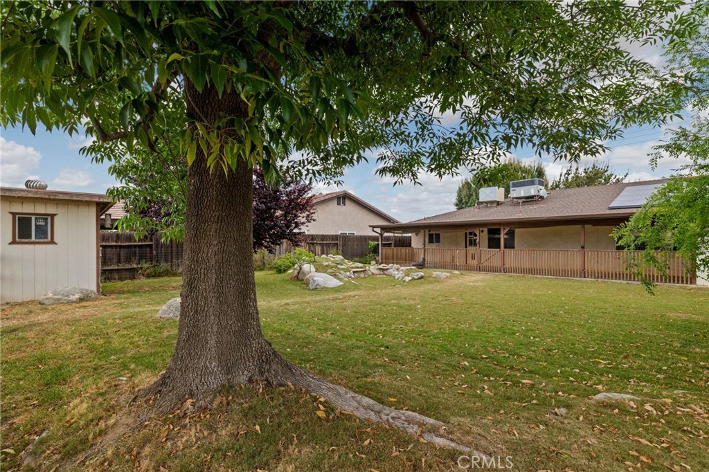 2065 Jenkins Road Bakersfield, CA 93314 - Photo 48 of 59 a view of a house with a tree in a yard