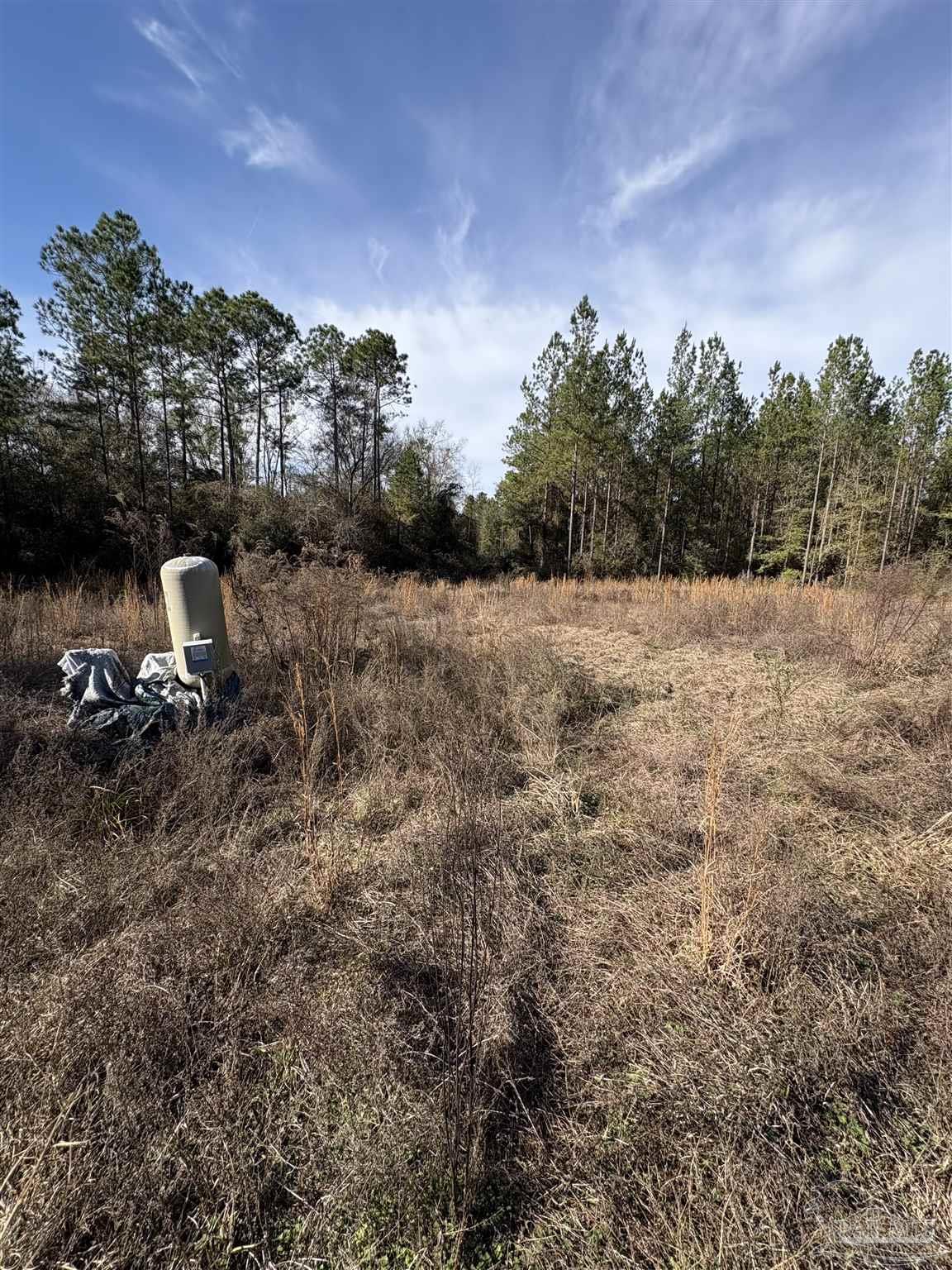 10485 Wiggins Grove Road Jay, FL 32565 - Photo 3 of 3