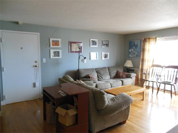 36 Bellvista Road, Unit 45 Boston, MA 02135 - Photo 3 of 10 Gallery Image 3