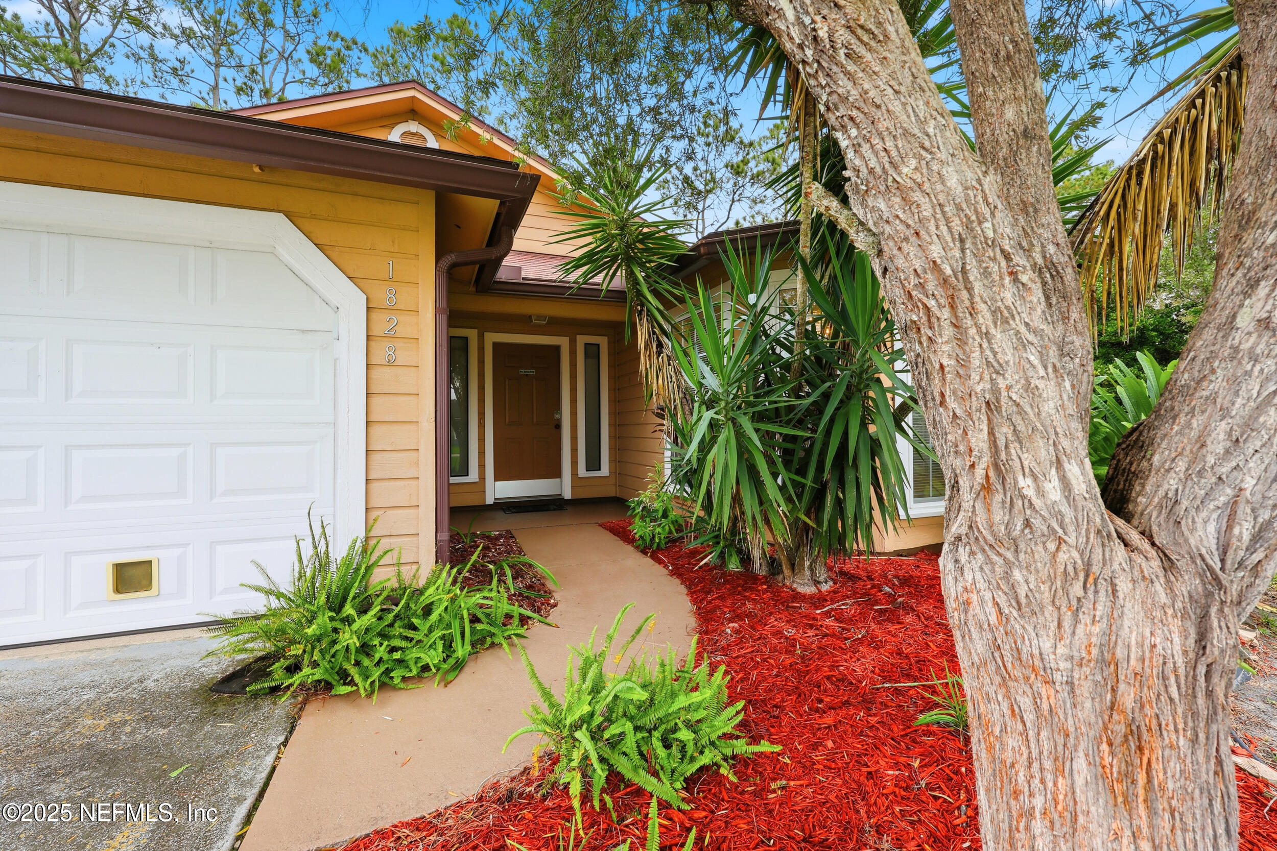 1828 Killarn Circle Middleburg, FL 32068 - Photo 2 of 28 a view of a back yard of the house