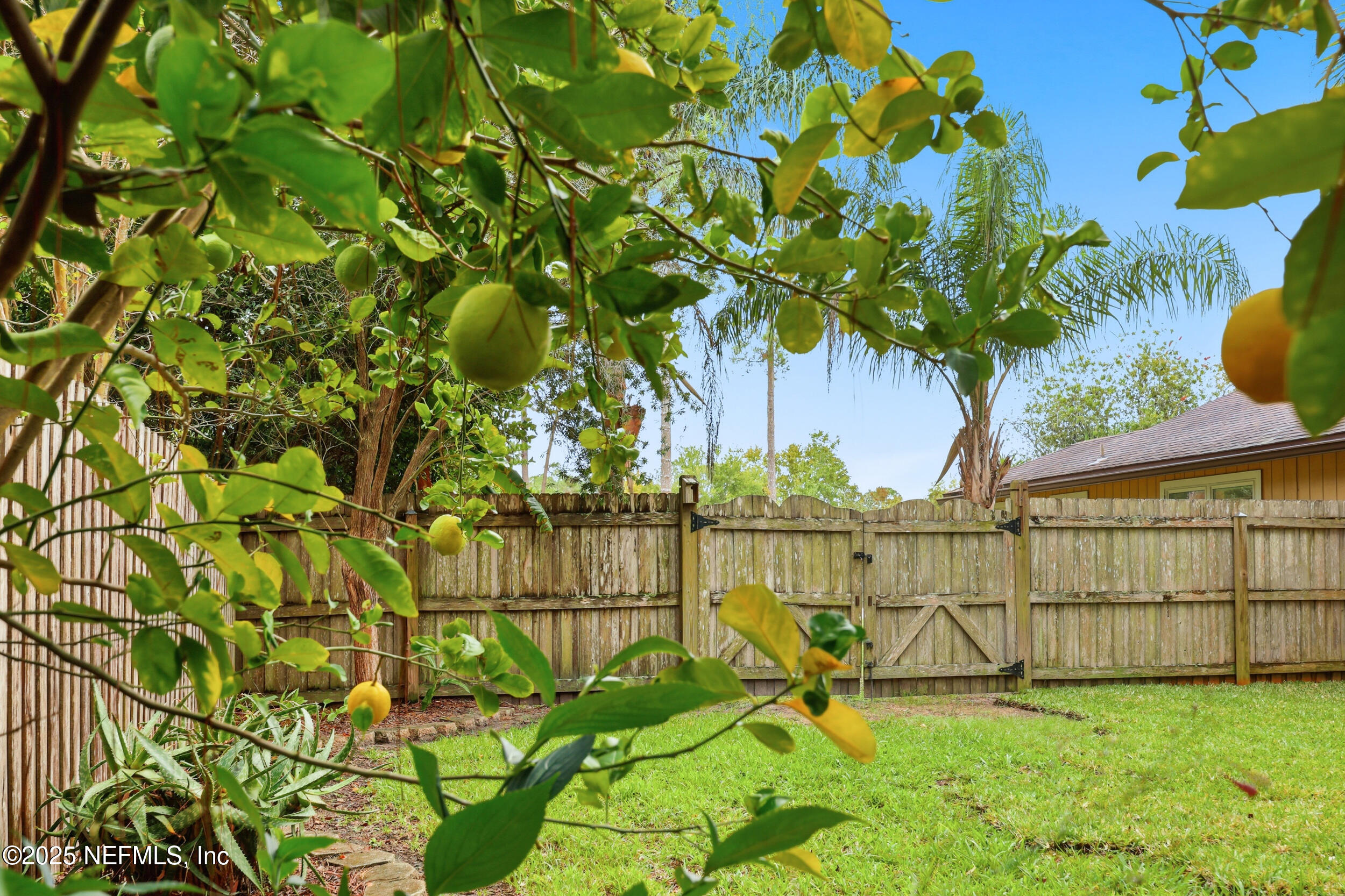 1828 Killarn Circle Middleburg, FL 32068 - Photo 6 of 28 a view of a bench in the garden