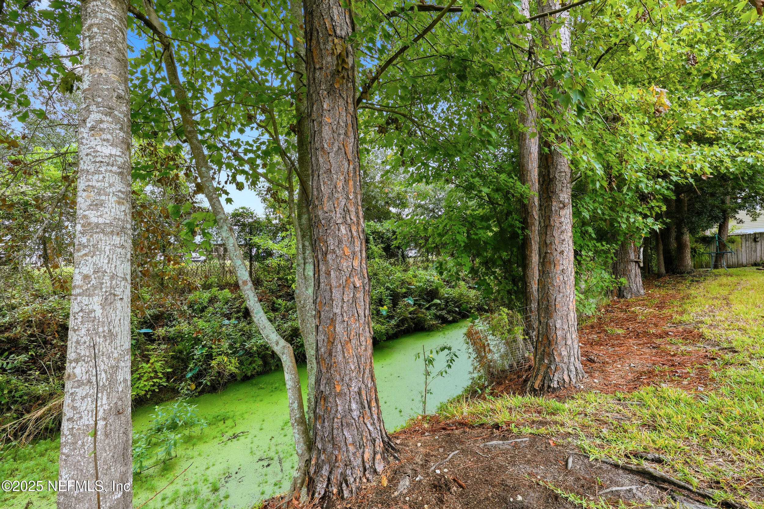 1828 Killarn Circle Middleburg, FL 32068 - Photo 7 of 28 a view of a trees in a yard