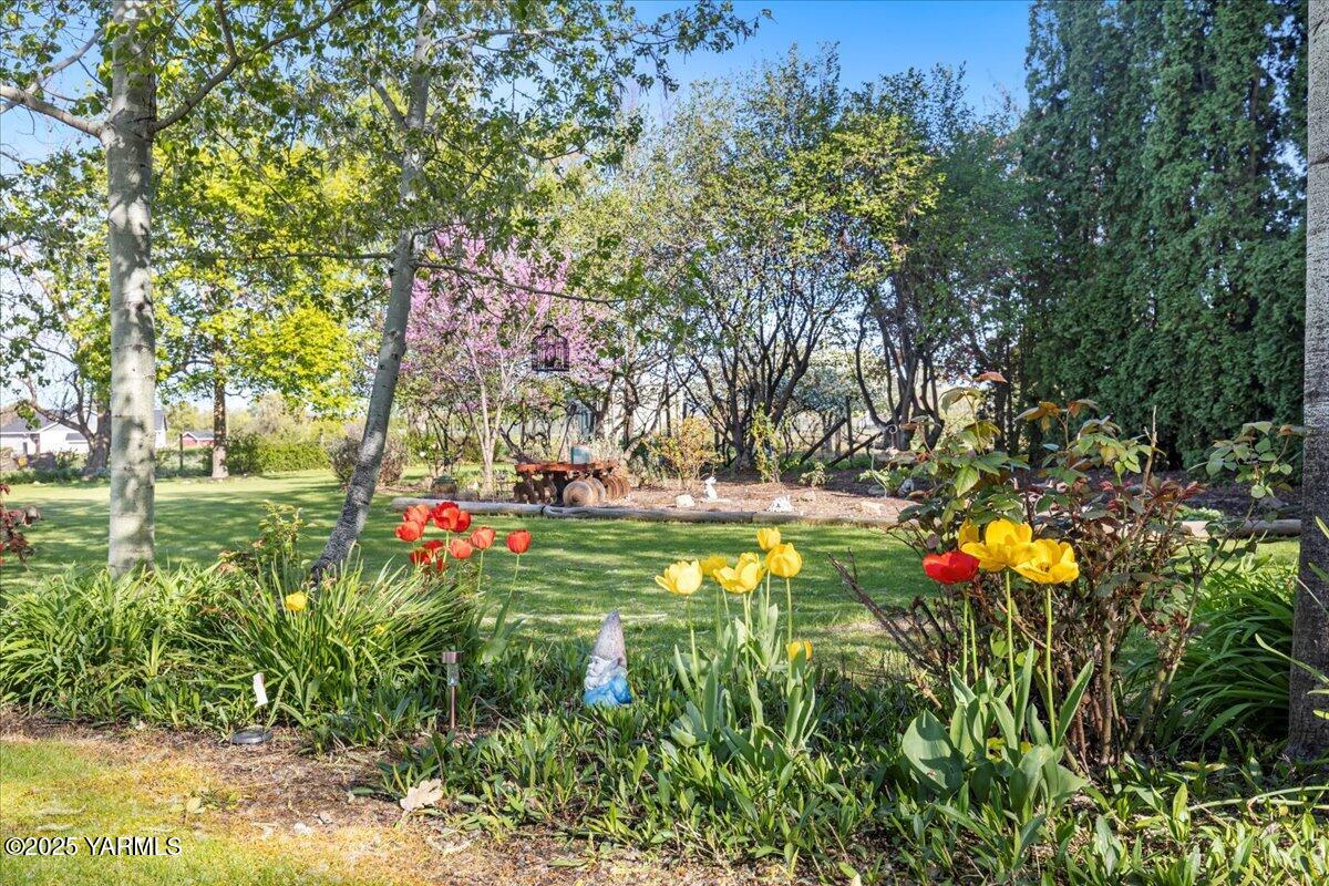 10401 1739 Pr Road North Grandview, WA 98930 - Photo 26 of 67 19-10401 1739th Reshoot-010