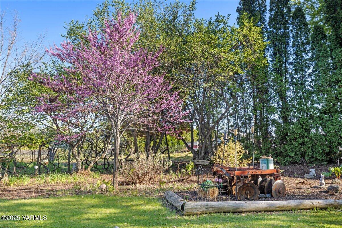 10401 1739 Pr Road North Grandview, WA 98930 - Photo 29 of 67 22-10401 1739th Reshoot-021