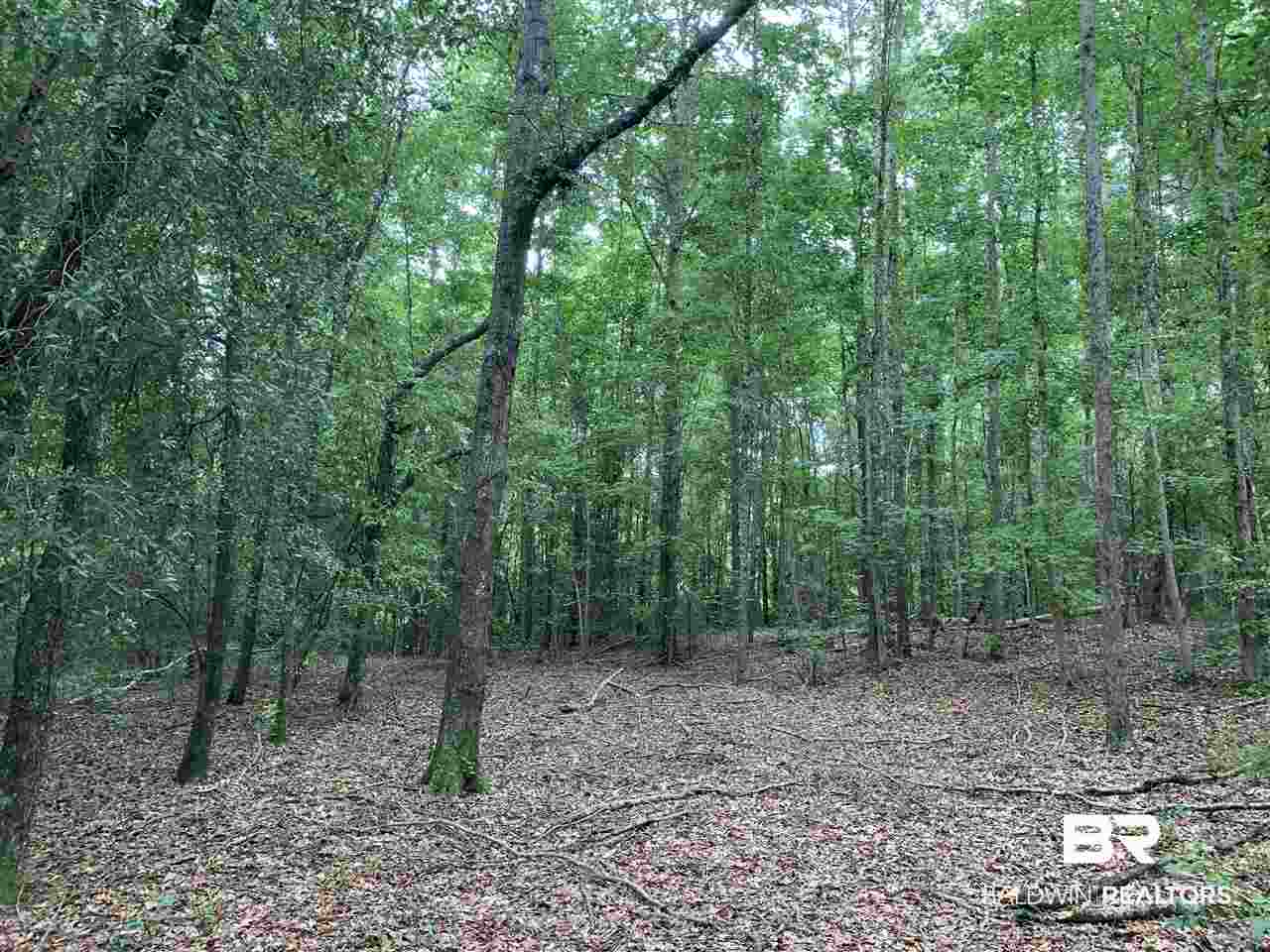 1178 Dry Lake Road Luverne, AL 36049 - Photo 31 of 50