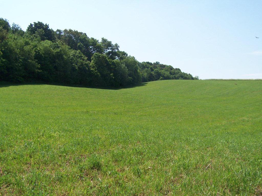0 Rockmill Road Southwest Lancaster, OH 43130 - Photo 3 of 5