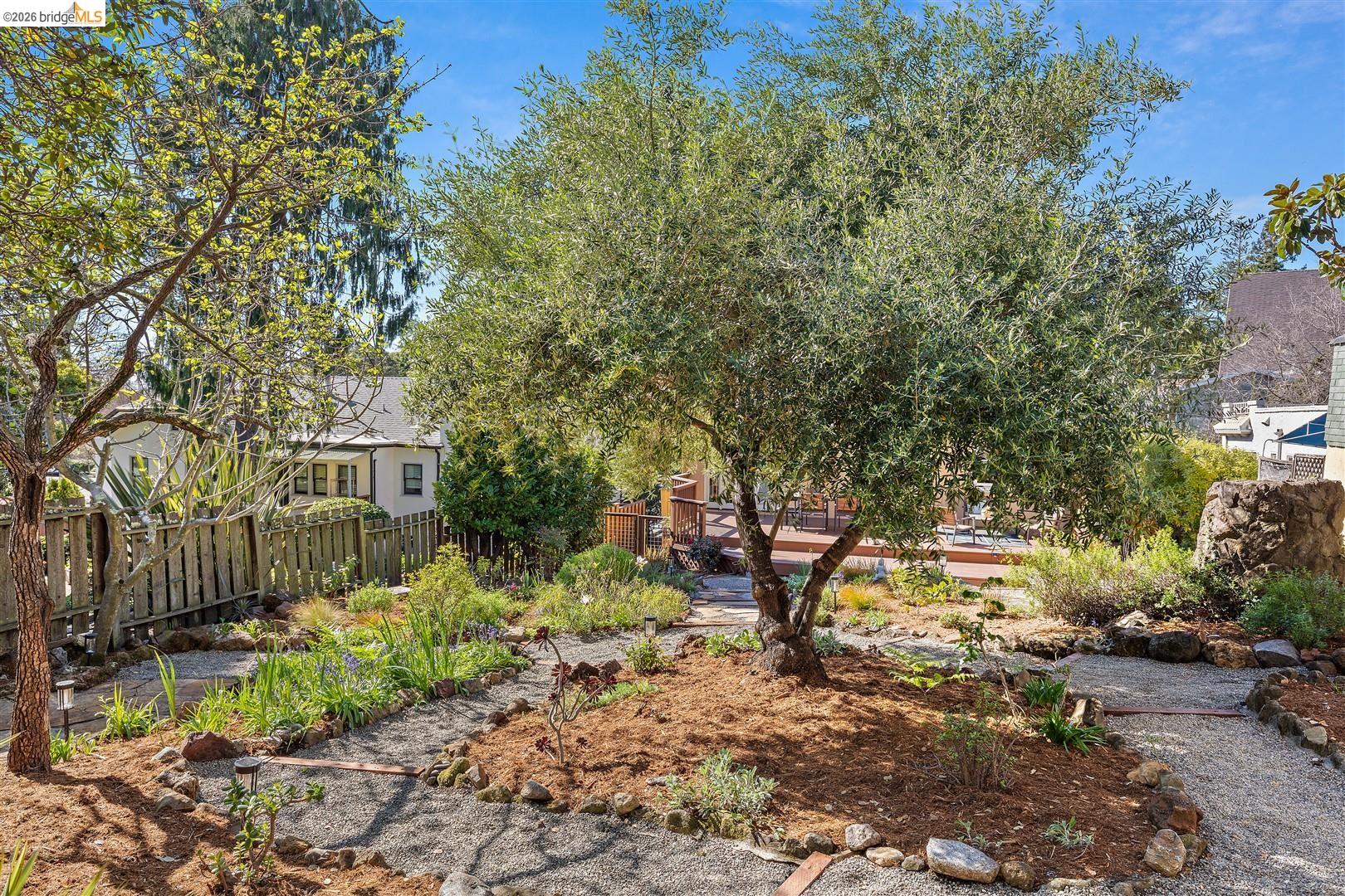 1950 Hopkins Street Berkeley, CA 94707 - Photo 31 of 57 a view of a yard with plants and wooden fence