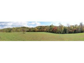 1746 Baileyton Road Greeneville, TN 37745 - Photo 3 of 20 View From Back