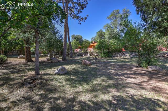 1404 West Cheyenne Road Colorado Springs, CO 80906 - Photo 8 of 50 View of yard