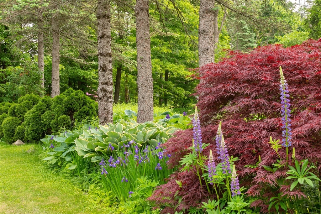 1 Buffington Hill Road Worthington, MA 01098 - Photo 7 of 42