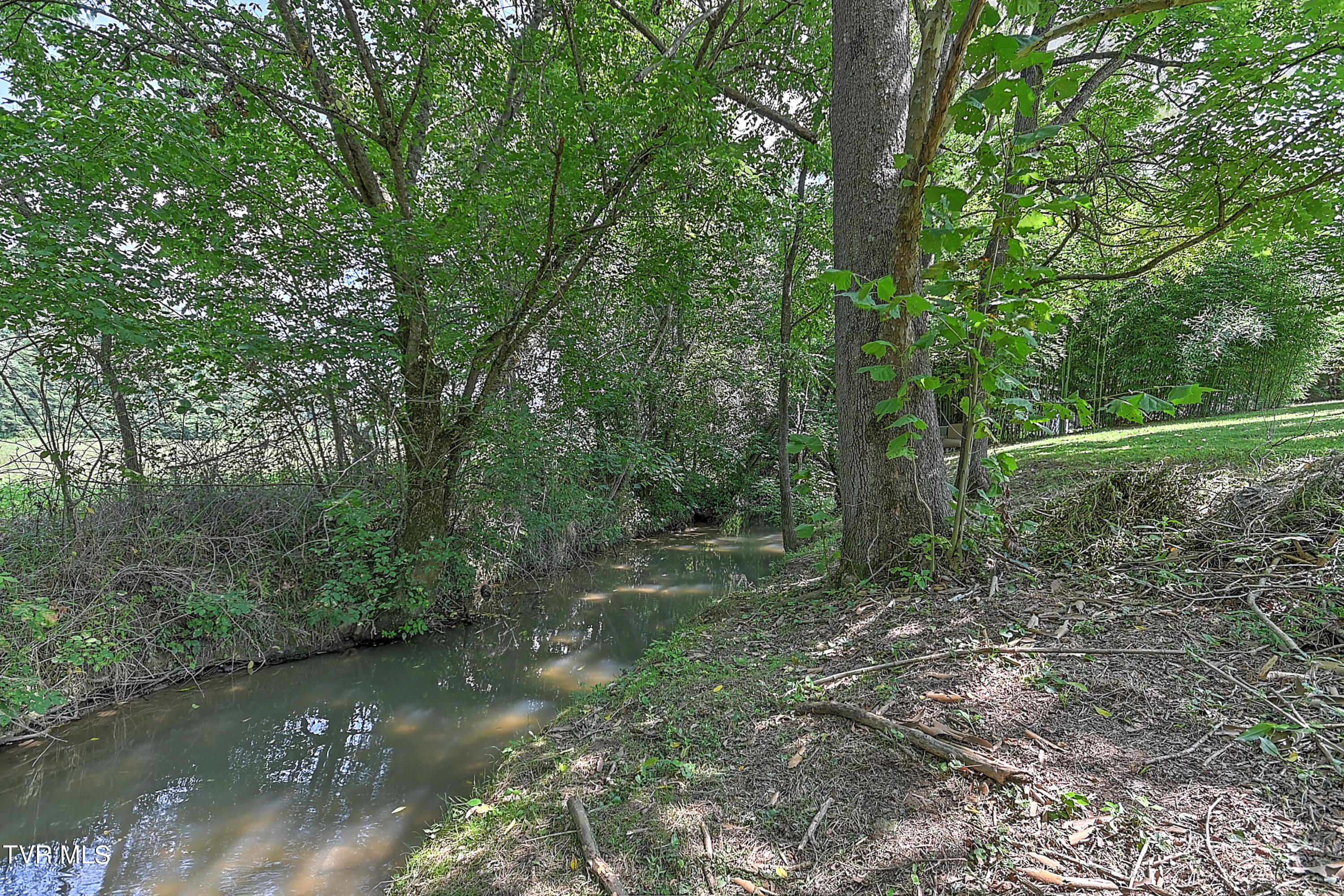 4045 Afton Road Afton, TN 37616 - Photo 34 of 36 34