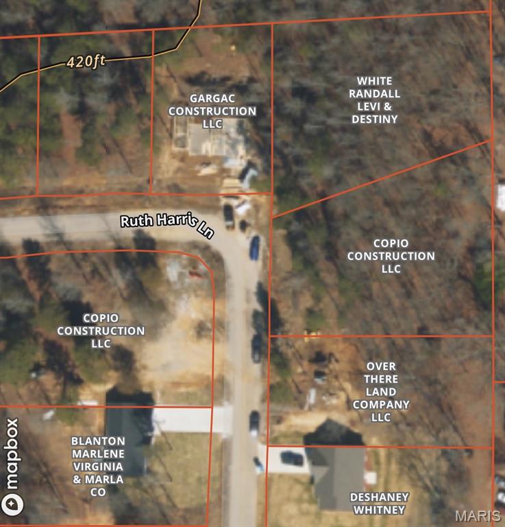 233 Ruth Harris Lane Poplar Bluff, MO 63901 - Photo 3 of 3