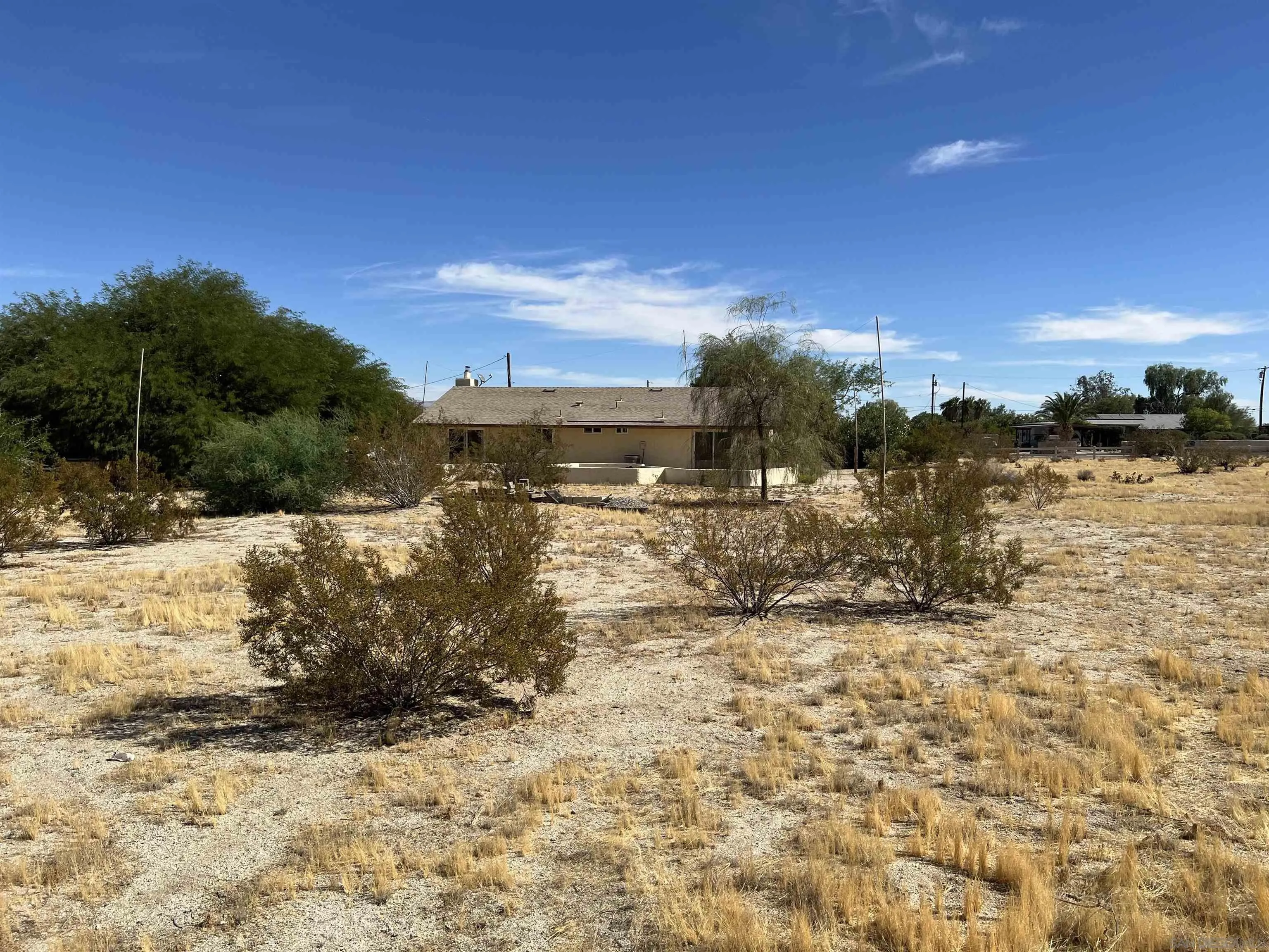 2960 Frying Pan Road Borrego Springs, CA 92004 - Photo 7 of 27 a view of a yard with a tree