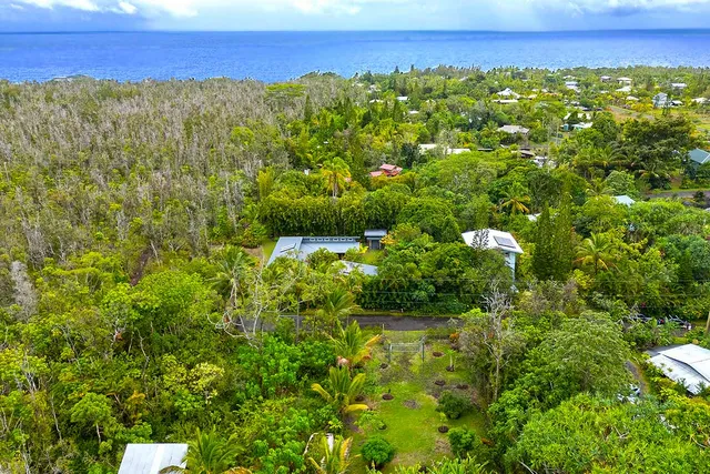 a view of a lush green forest with lots of trees