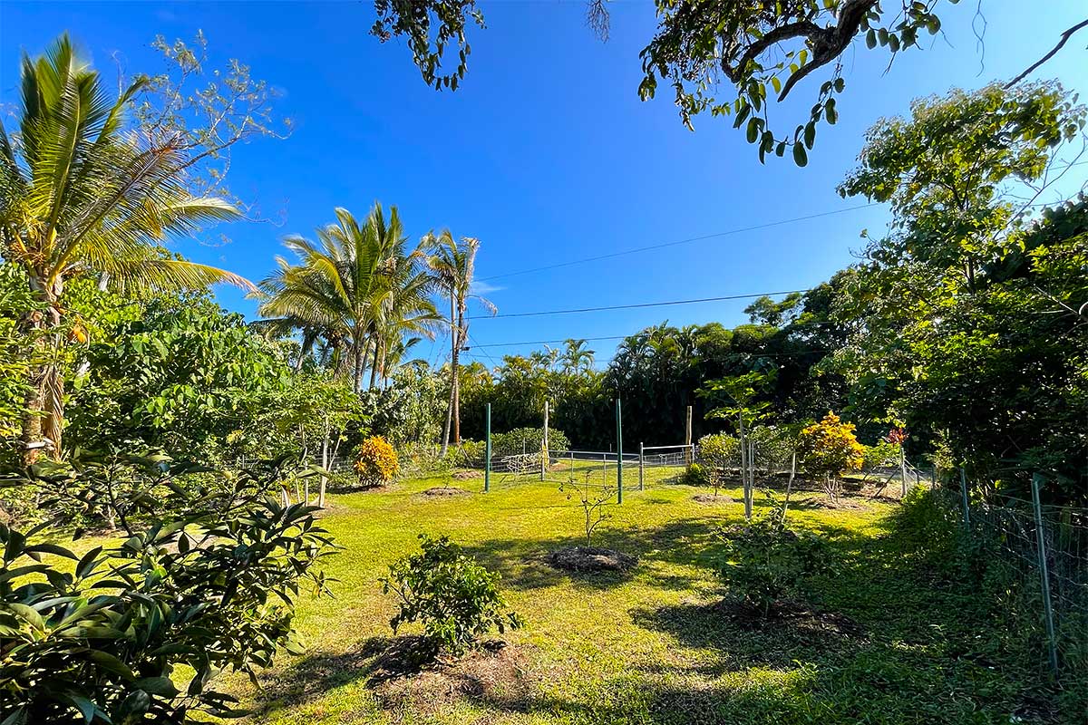 154 Koaekea Street Pahoa, HI 96778 - Photo 13 of 27 a view of a swimming pool with an outdoor space and seating area