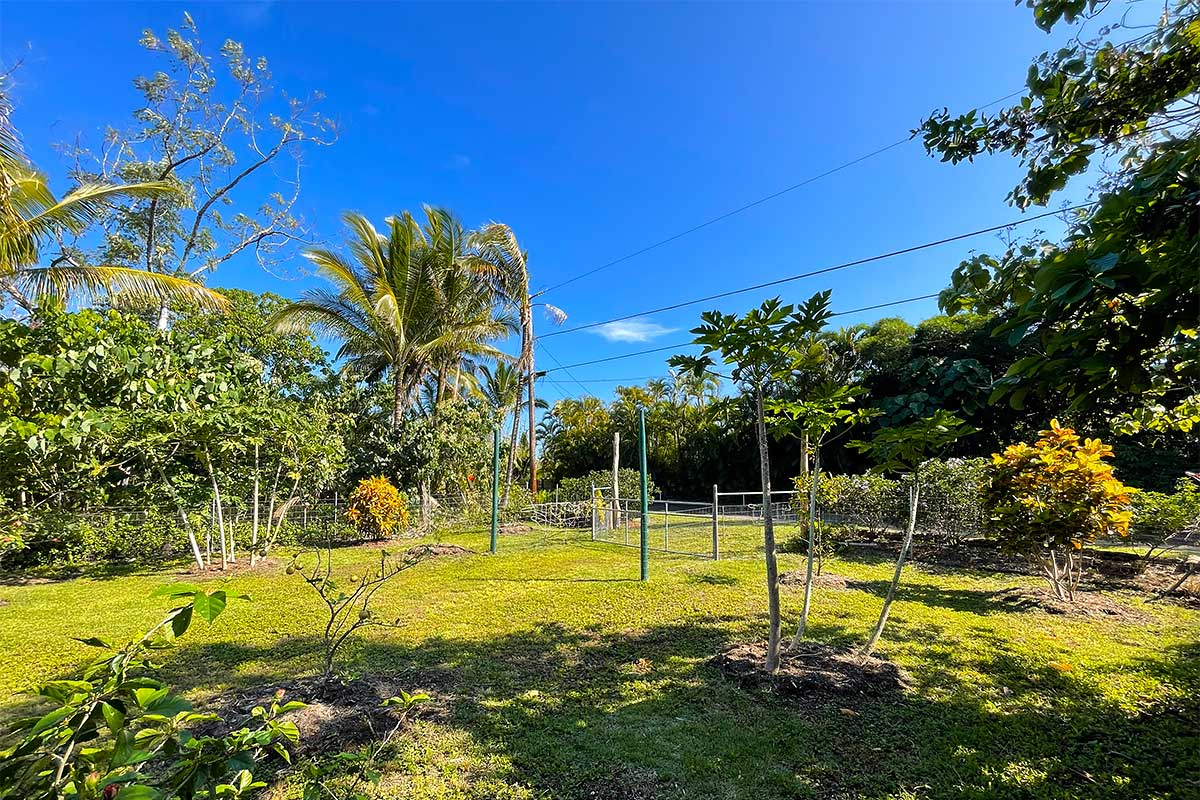 154 Koaekea Street Pahoa, HI 96778 - Photo 14 of 27 a view of a swimming pool with a garden