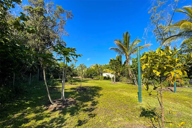 $65,000 | 154 Koaekea Street, Pahoa, HI 96778