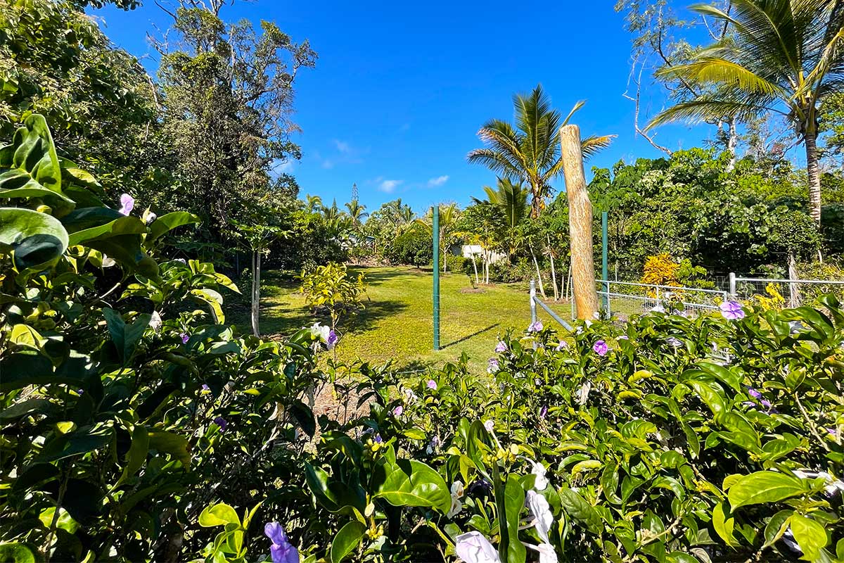 154 Koaekea Street Pahoa, HI 96778 - Photo 16 of 27 a view of a garden with plants