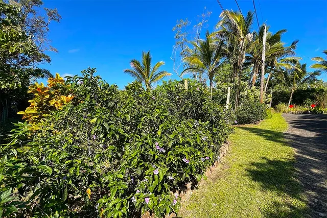 $65,000 | 154 Koaekea Street, Pahoa, HI 96778