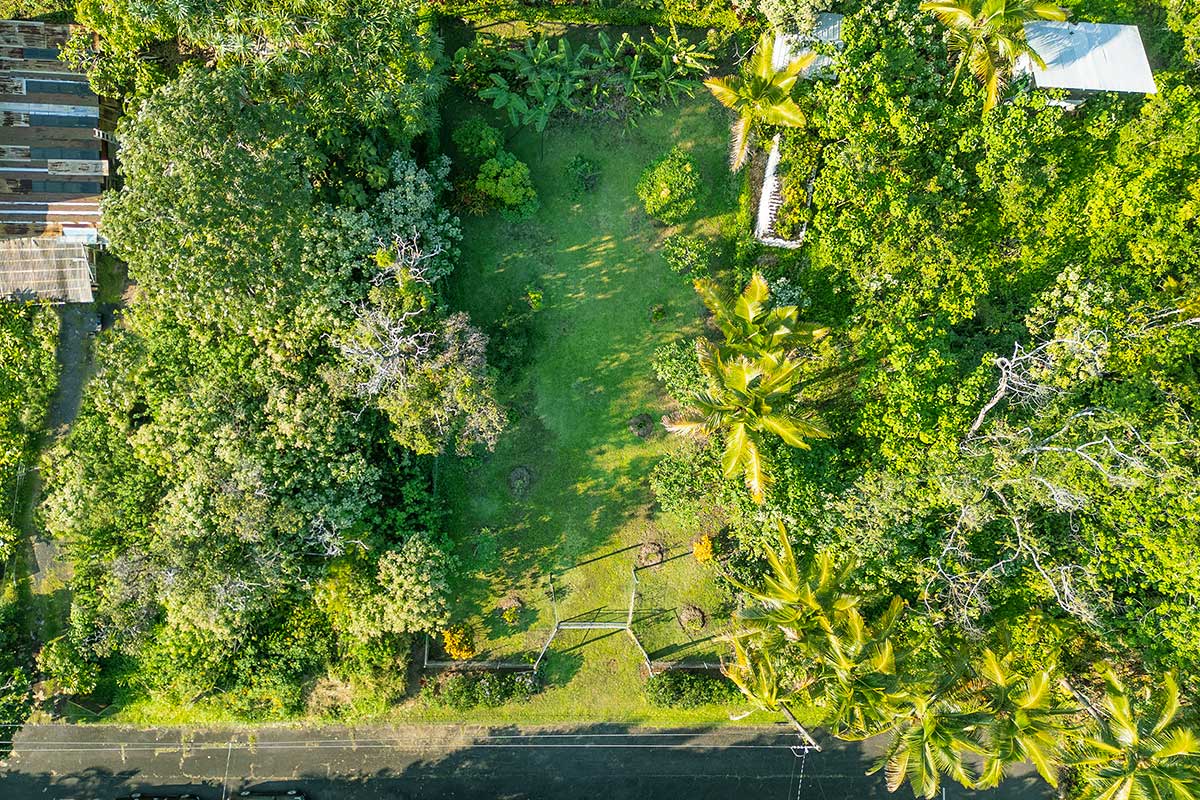 154 Koaekea Street Pahoa, HI 96778 - Photo 19 of 27 a view of a yard