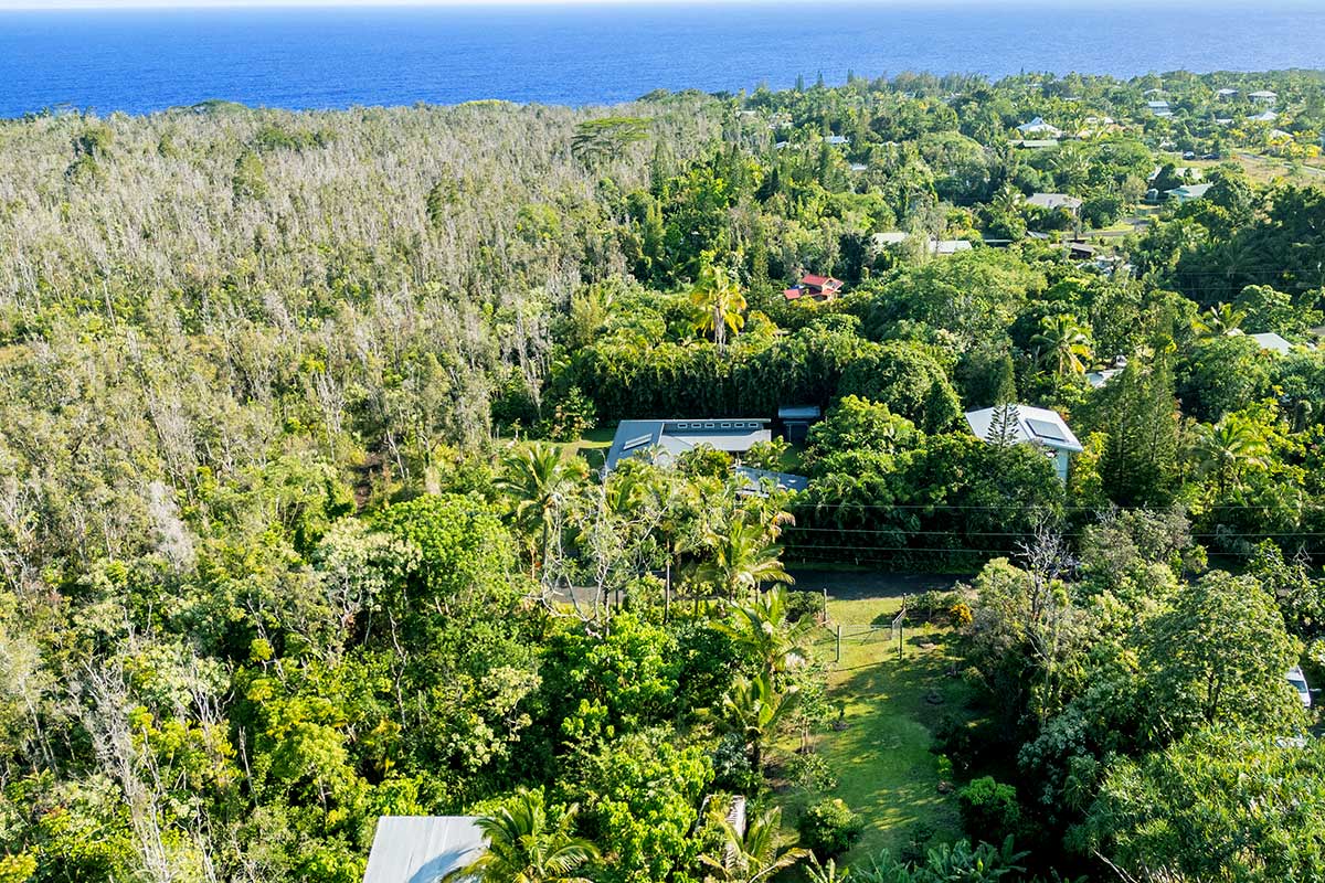154 Koaekea Street Pahoa, HI 96778 - Photo 20 of 27 a view of a garden