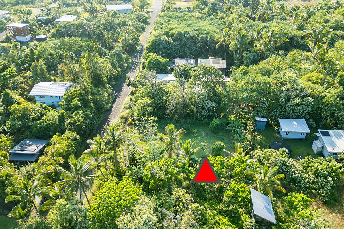 154 Koaekea Street Pahoa, HI 96778 - Photo 22 of 27 a view of a flower in a garden