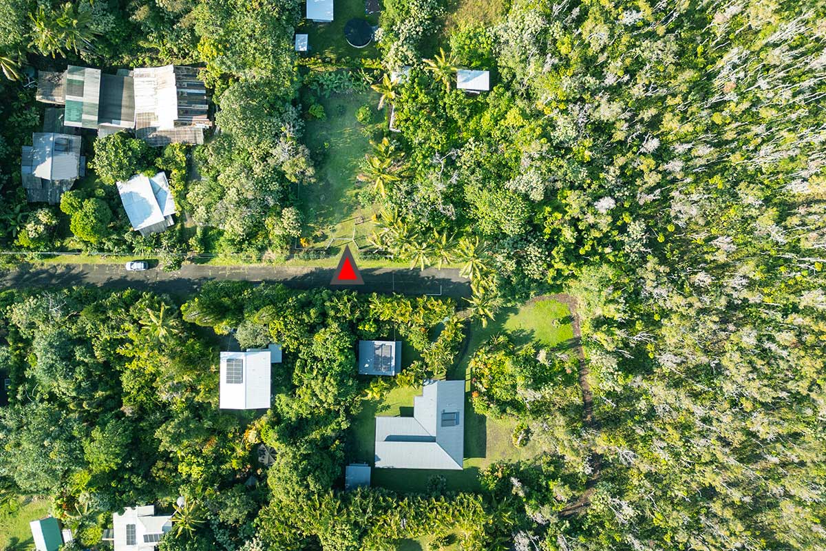 154 Koaekea Street Pahoa, HI 96778 - Photo 23 of 27 a picture of a tree