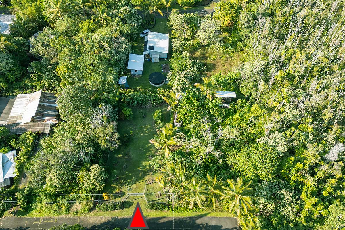 154 Koaekea Street Pahoa, HI 96778 - Photo 24 of 27 a view of a yard with plants
