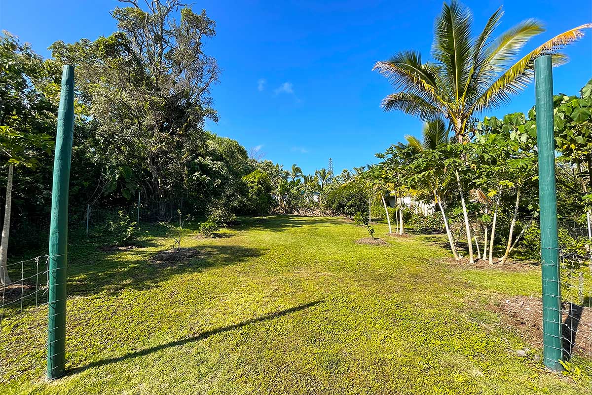 154 Koaekea Street Pahoa, HI 96778 - Photo 6 of 27 a view of swimming pool with yard