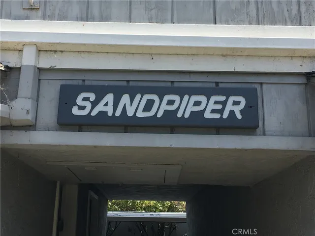 a view of a backyard with potted plants and large trees
