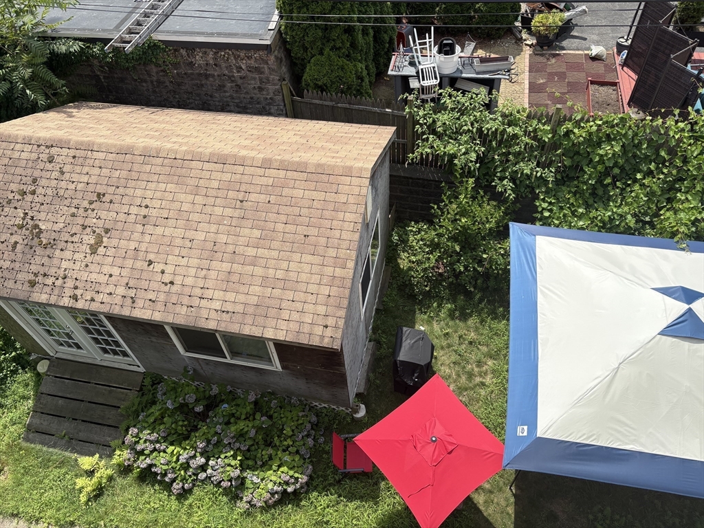 19 Wolcott Street, Unit 3 Boston, MA 02121 - Photo 6 of 17 a view of a yard with plants