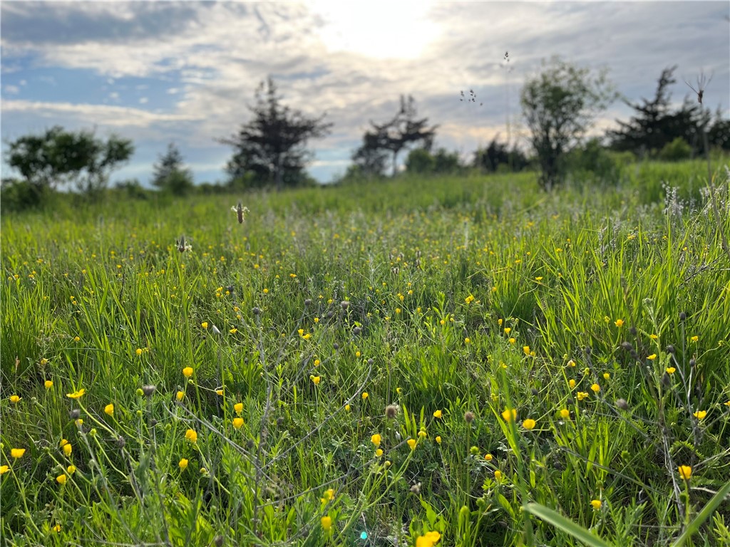 0 Thomas Road Adams Center, NY 13606 - Photo 11 of 50