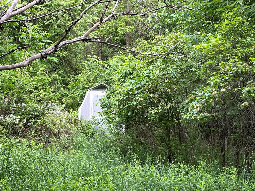 0 Thomas Road Adams Center, NY 13606 - Photo 13 of 50