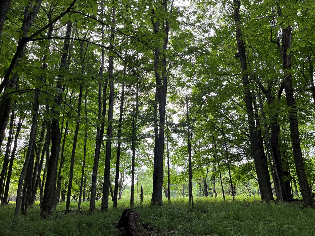 0 Thomas Road Adams Center, NY 13606 - Photo 20 of 50