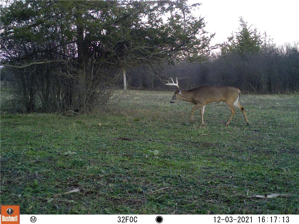 0 Thomas Road Adams Center, NY 13606 - Photo 2 of 50