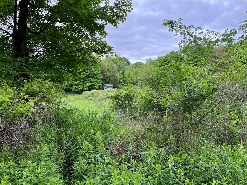 0 Thomas Road Adams Center, NY 13606 - Photo 21 of 50