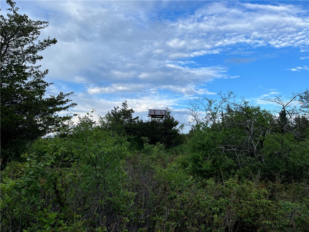 0 Thomas Road Adams Center, NY 13606 - Photo 22 of 50