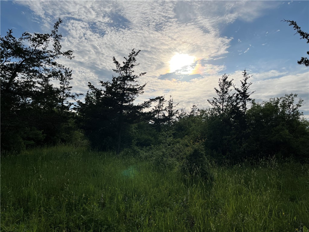 0 Thomas Road Adams Center, NY 13606 - Photo 26 of 50