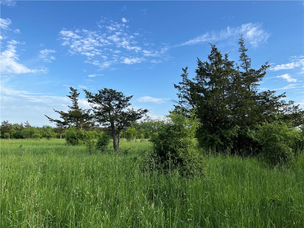 0 Thomas Road Adams Center, NY 13606 - Photo 29 of 50